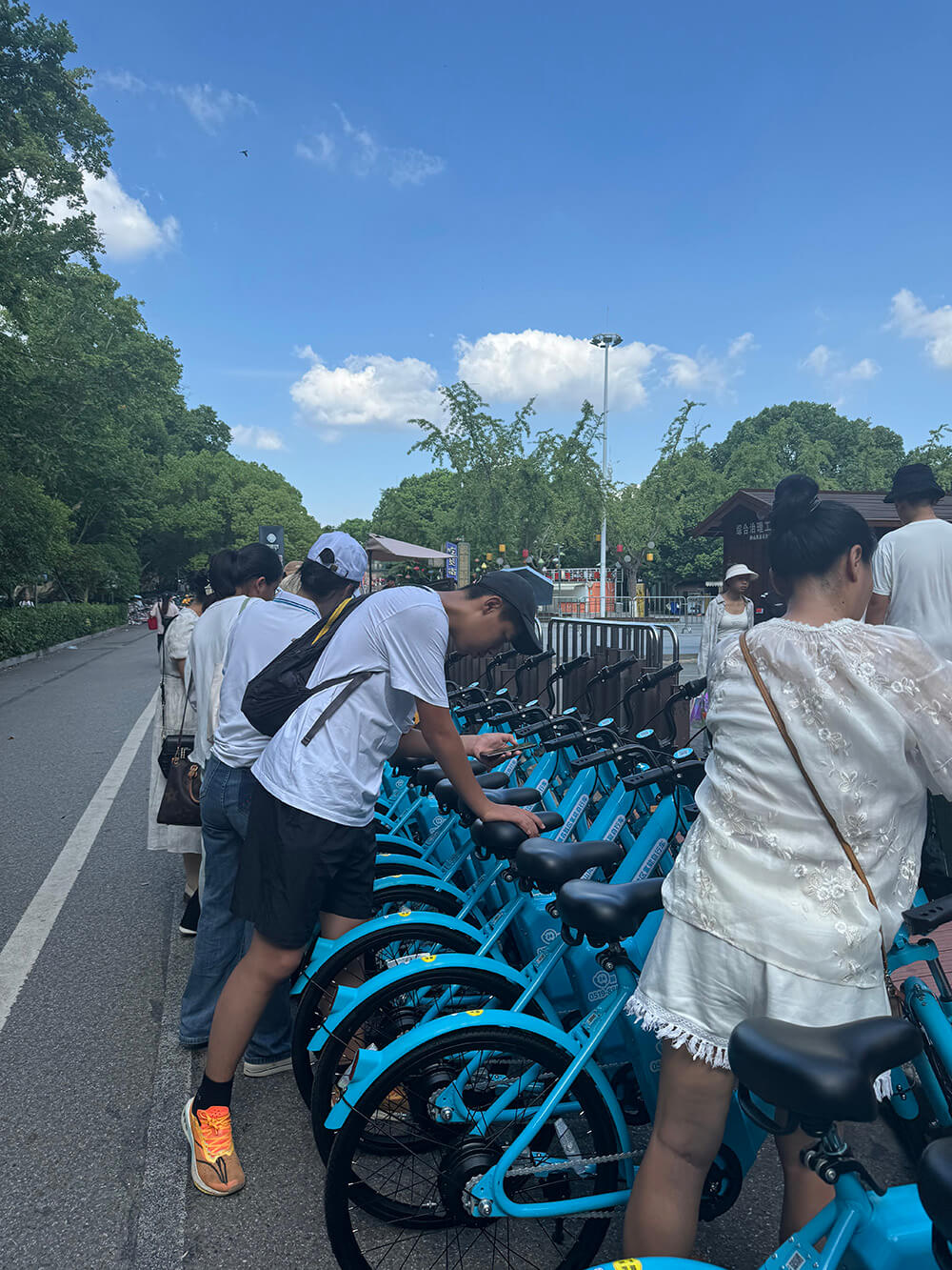 250輛氫能自行車投身南京鐘山風景區