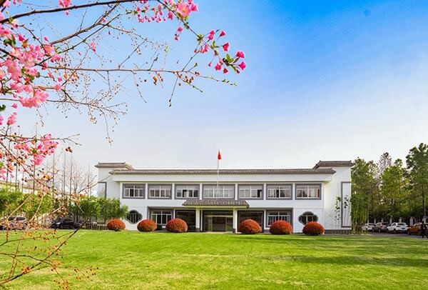 心系行業(yè)發(fā)展 積極獻言獻策——中國國際商會向永安行發(fā)來感謝信