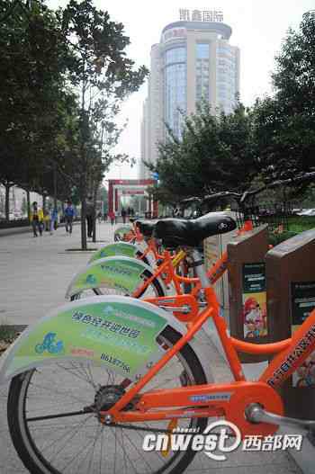 西安公共自行車項目難叫好  負責人稱投入太少